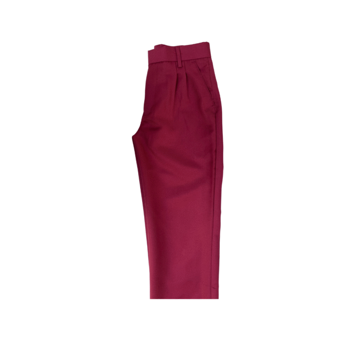 Elastic Maroon Long Pants (Pleated) - Image 3